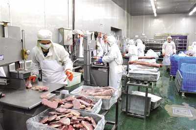 豐都構建“三大體系”打通發展瓶頸，以“三步走”探索食品及農產品加工高質量發展新路徑